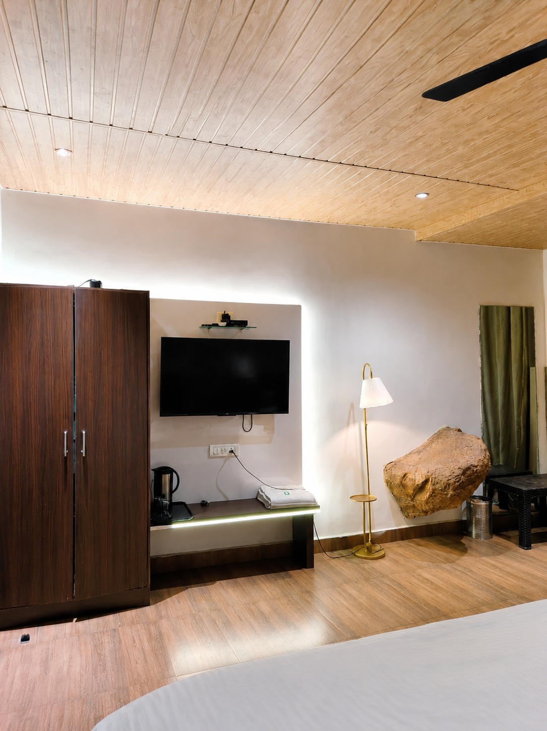 17 Tropical Room TV Wall